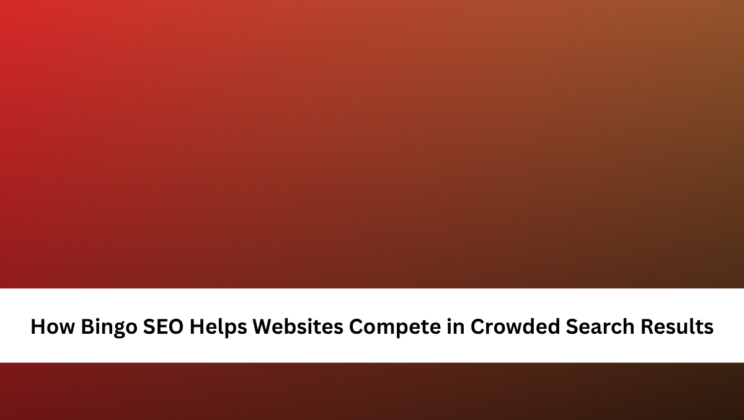 How Bingo SEO Helps Websites Compete in Crowded Search Results